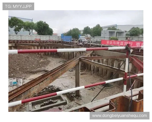 全国打桩机锦标赛冠军(打桩机销量排名)世界杯体育论坛